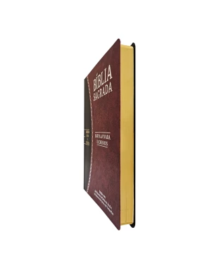 BÍBLIA SLIM LARGE ARC C/ HARPA PU BICOLOR - BORDÔ E PRETO
