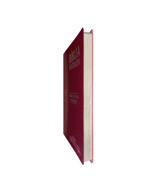 BÍBLIA SLIM LARGE ARC C/ HARPA PU BICOLOR - PINK E ROSA