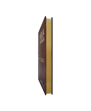 BÍBLIA SLIM LARGE NVI PU BICOLOR - BORDÔ E PRETO
