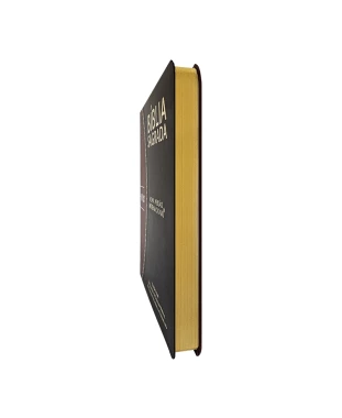 BÍBLIA SLIM LARGE NVI PU BICOLOR - PRETO E BORDÔ