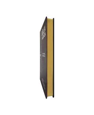 BÍBLIA SLIM LARGE NVI PU BICOLOR - VINHO E PRETO