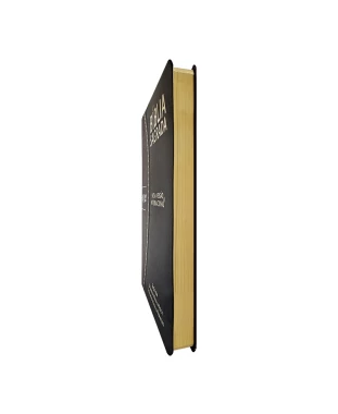 BÍBLIA SLIM LARGE NVI PU BICOLOR - PRETO E MARROM
