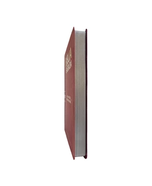 BÍBLIA SLIM LARGE NVI PU BICOLOR - ROSA E PINK