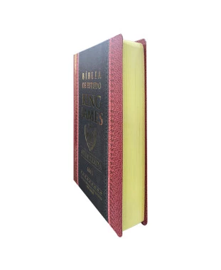 BÍBLIA DE EST. KING JAMES PPM FULL COLOR - CAPA DURA - TRADICIONAL