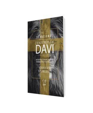 LIVRO DEVOCIONAL TESOUROS DE DAVI - LION CRUZ