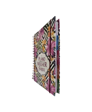 LIVRO O PLANO PERFEITO DA MULHER SÁBIA MOD. 09
