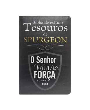 BÍBLIA DE ESTUDO TEMÁTICA TESOUROS DE SPURGEON ARC - CAPA 02