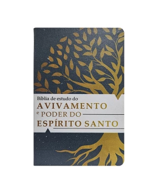 BÍBLIA DE ESTUDO TEMÁTICA DO AVIVAMENTO E O PODER DO ESPÍRITO SANTO ARC - CAPA 02